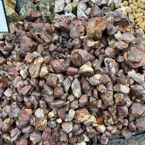 Meet your Posher, Ellie